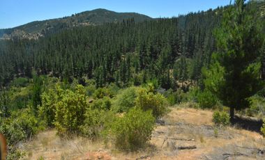 Terrenos con vistas panorámicas a 50 min de Cauquenes - Proyecto Club de Campo Cauquenes