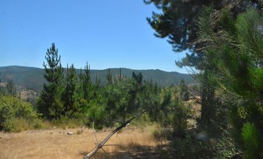 Terrenos con vistas panorámicas a 50 min de Cauquenes - Proyecto Club de Campo Cauquenes