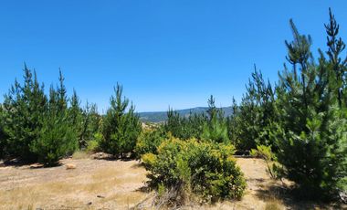 Terrenos con vistas panorámicas a 50 min de Cauquenes - Proyecto Club de Campo Cauquenes