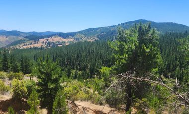 Terrenos con vistas panorámicas a 50 min de Cauquenes - Proyecto Club de Campo Cauquenes