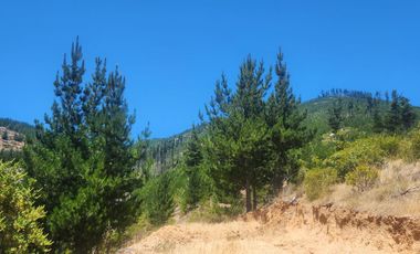 Terrenos con vistas panorámicas a 50 min de Cauquenes - Proyecto Club de Campo Cauquenes