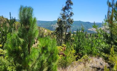 Terrenos con vistas panorámicas a 50 min de Cauquenes - Proyecto Club de Campo Cauquenes
