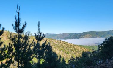 Terrenos con vistas panorámicas a 50 min de Cauquenes - Proyecto Club de Campo Cauquenes