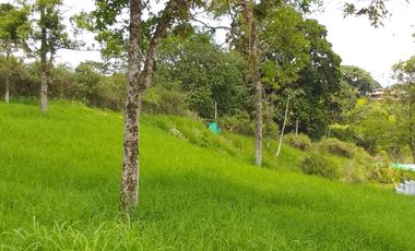 🏠 Vendo lote campestre en Pereira sector Pueblito cafetero