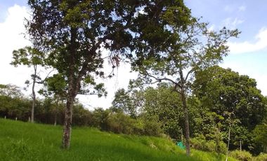 🏠 Vendo lote campestre en Pereira sector Pueblito cafetero