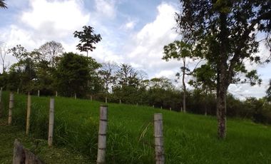 🏠 Vendo lote campestre en Pereira sector Pueblito cafetero