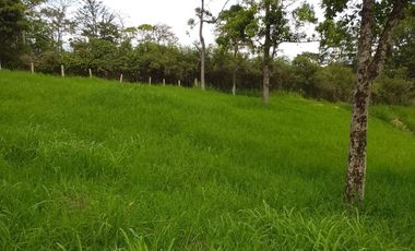 🏠 Vendo lote campestre en Pereira sector Pueblito cafetero