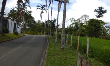 🏠 Vendo lote campestre en Pereira sector Pueblito cafetero