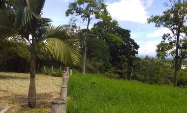 🏠 Vendo lote campestre en Pereira sector Pueblito cafetero