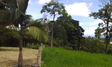 🏠 Vendo lote campestre en Pereira sector Pueblito cafetero