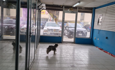 VENTA LOCALES COMERCIALES PLAZA VILLARREAL DURANGO