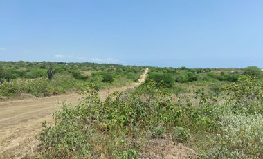 Vendo terreno 250 m2 (Punta Balnca - Santa Elena)