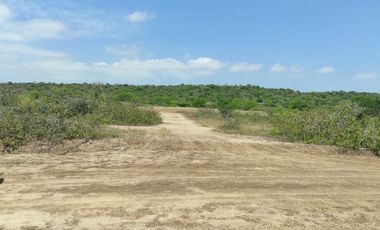 Vendo terreno 250 m2 (Punta Balnca - Santa Elena)