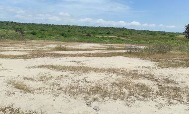 Vendo terreno 250 m2 (Punta Balnca - Santa Elena)