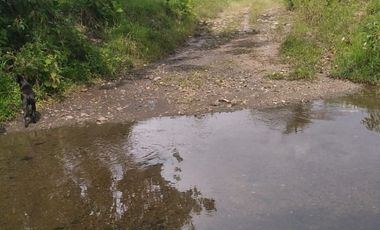 Vendo finca de 55 Hectáreas en recinto Naranjal, Provincia Esmeraldas