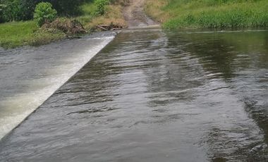 Vendo finca de 55 Hectáreas en recinto Naranjal, Provincia Esmeraldas