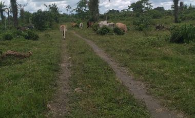 Vendo finca de 55 Hectáreas en recinto Naranjal, Provincia Esmeraldas