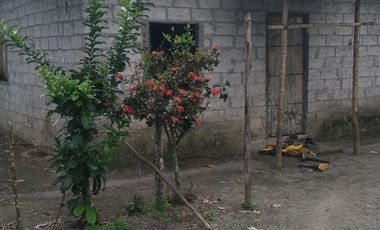 Vendo finca de 55 Hectáreas en recinto Naranjal, Provincia Esmeraldas