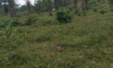 Vendo finca de 55 Hectáreas en recinto Naranjal, Provincia Esmeraldas