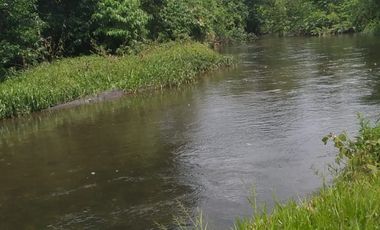 Vendo finca de 55 Hectáreas en recinto Naranjal, Provincia Esmeraldas