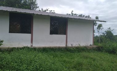 Vendo finca de 55 Hectáreas en recinto Naranjal, Provincia Esmeraldas