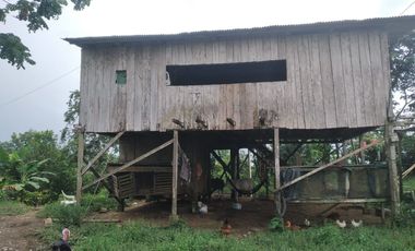 Vendo finca de 55 Hectáreas en recinto Naranjal, Provincia Esmeraldas
