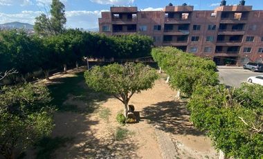 Departamento en venta en la Colonia Arbide