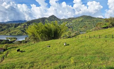 Finca en venta con espectacular vista al embalse Peñol Guatapé