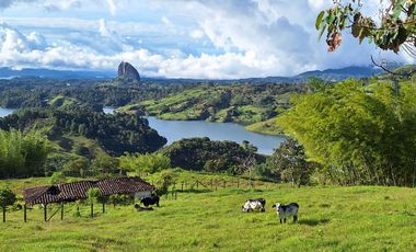 Finca en venta con espectacular vista al embalse Peñol Guatapé