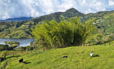 Finca en venta con espectacular vista al embalse Peñol Guatapé