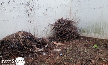 Dijual Rumah Cluster Cattleya Serpong Natura Gunung Sindur Bogor Murah Bagus Siap Huni