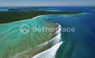 Beachfront Villa for Sale in Mentawai Islands – Ideal for Surf, Sunsets, and Seaside Living