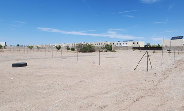 Terreno en Renta Ubicado atrás de Centro