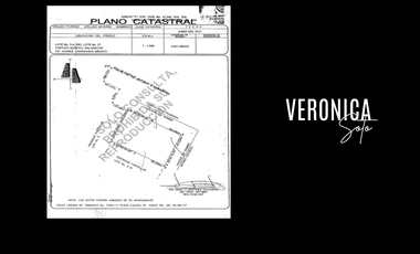 Terreno en Renta Ubicado atrás de Centro
