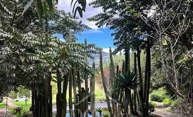 Vendo Terreno en Panamericana Norte