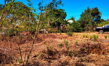 400 m2 / 4,305 ft | Vacant Estate Near All Conveniences