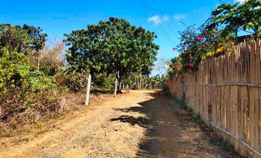 400 m2 / 4,305 ft | Vacant Estate Near All Conveniences