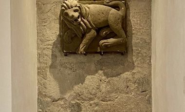 Renta Residencia Cerrada del Carmen