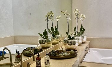 Renta Residencia Cerrada del Carmen