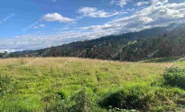 Terreno en Venta Centro de Deleg