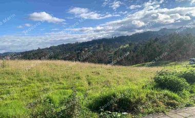 Terreno en Venta Centro de Deleg