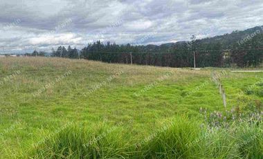 Terreno en Venta Centro de Deleg