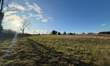 Se vende parcela con linda vista, Santa Rosa, Paillaco Región de Los Ríos.