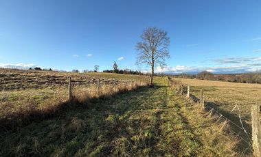 Se vende parcela con linda vista, Santa Rosa, Paillaco Región de Los Ríos.