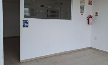 RENTA LOCAL COMERCIAL