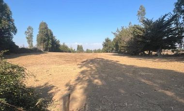 Terreno Sector Nuevos Reinos , Pichilemu