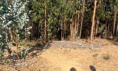 Terreno Sector Nuevos Reinos , Pichilemu
