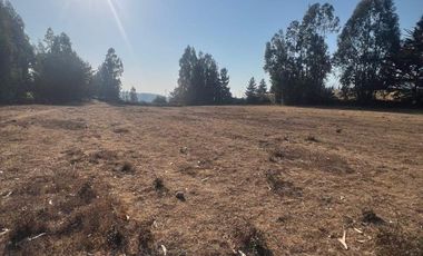 Terreno Sector Nuevos Reinos , Pichilemu