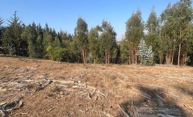 Terreno Sector Nuevos Reinos , Pichilemu