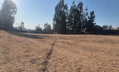 Terreno Sector Nuevos Reinos , Pichilemu